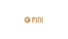 fini brand