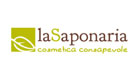 lasaponaria